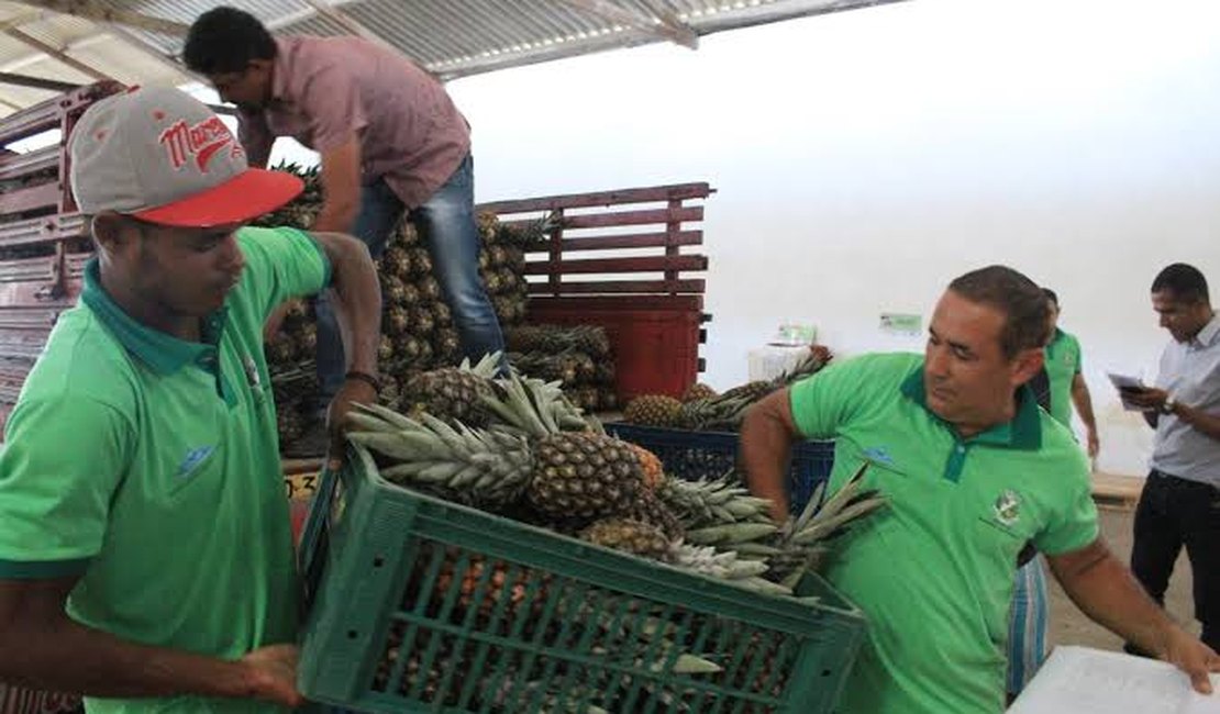 Prefeitura de Arapiraca abre chamada para agricultores familiares e entidade socioassistenciais