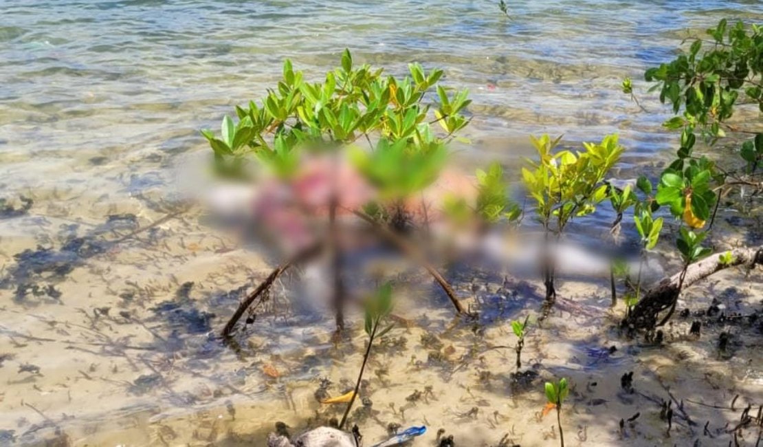 Corpo com marcas de tiros é encontrado em área de manguezal no Litoral Sul de Alagoas