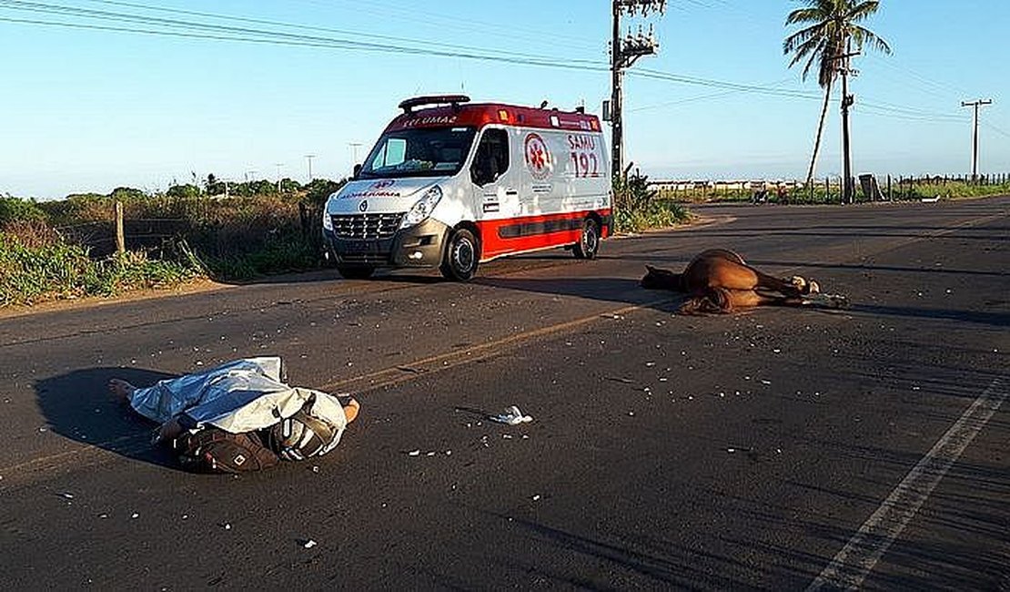 Acidentes com animais em estradas alagoanas mataram 60 pessoas no ano passado