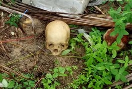 Crânio que pode ser de Roberta Dias é encontrado em terreno no Pontal do Peba
