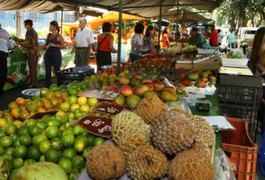 Tradicional feira livre de Arapiraca será realizada na terça-feira (08)