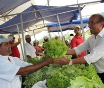 Arapiraca vira Polo Tecnológico Agroalimentar