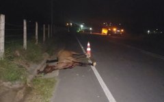 Cavalo também morreu