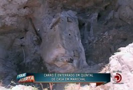 Homem encontra carro enterrado no quintal de casa, em AL