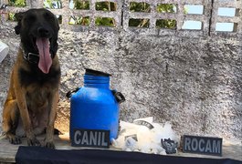 Polícia Militar localiza grande quantidade de drogas durante ação no bairro Canafístula, em Arapiraca