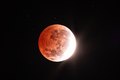 Épico no Céu: Eclipse Lunar Parcial Enche os Olhos dos Alagoanos com 96% da Lua Sombreada