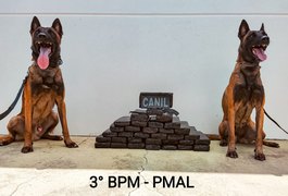 Ação da PM apreende mais de 24 kg de maconha em ônibus que seguia para Arapiraca; suspeito é preso