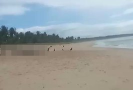 Vídeo. Corpo de banhista que se afogou na Praia de Lagoa do Pau é encontrado