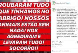Vídeo. Delegados pedem quebra de sigilo bancário de diretoras da ONG Pata Voluntária