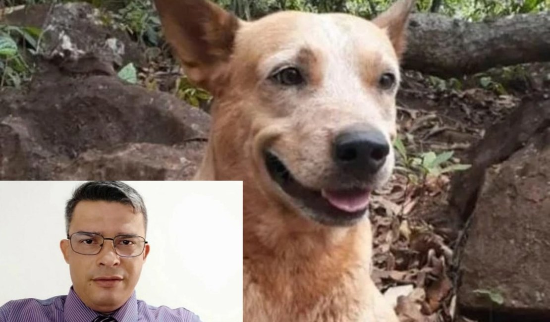 Advogado é preso ao matar cachorro com tiro na cabeça