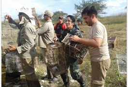 Casal é multada em R$ 3 milhões; armadilhas de pesca são apreendidas e pássaros soltos