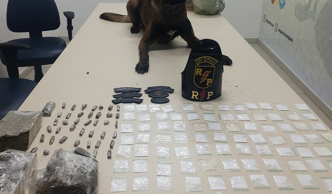 Homem é preso por tráfico de drogas em São Sebastião com auxílio de cão farejador