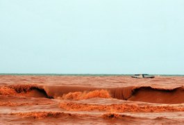 Lama avança 15 km ao Norte do mar no ES e 700 peixes aparecem mortos