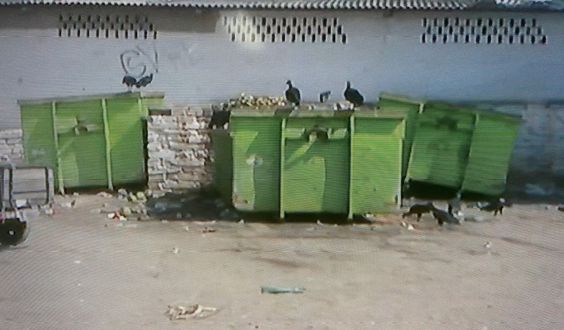 Rodeado por urubus, corpo de jovem é encontrado em contêiner, em mercado de Maceió