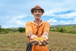 Aração de terras beneficia mil produtores rurais de Traipu