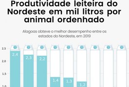 Alagoas supera média nacional e tem a maior produtividade leiteira do Nordeste