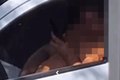Defesa de homem filmado em suposto ato obsceno em Penedo diz que ele tem escabiose e estava apenas se coçando