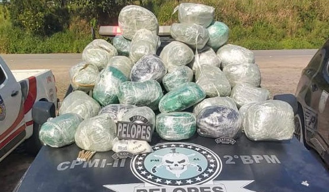 Polícia Militar apreende mais de 32kg de drogas em São José da Laje