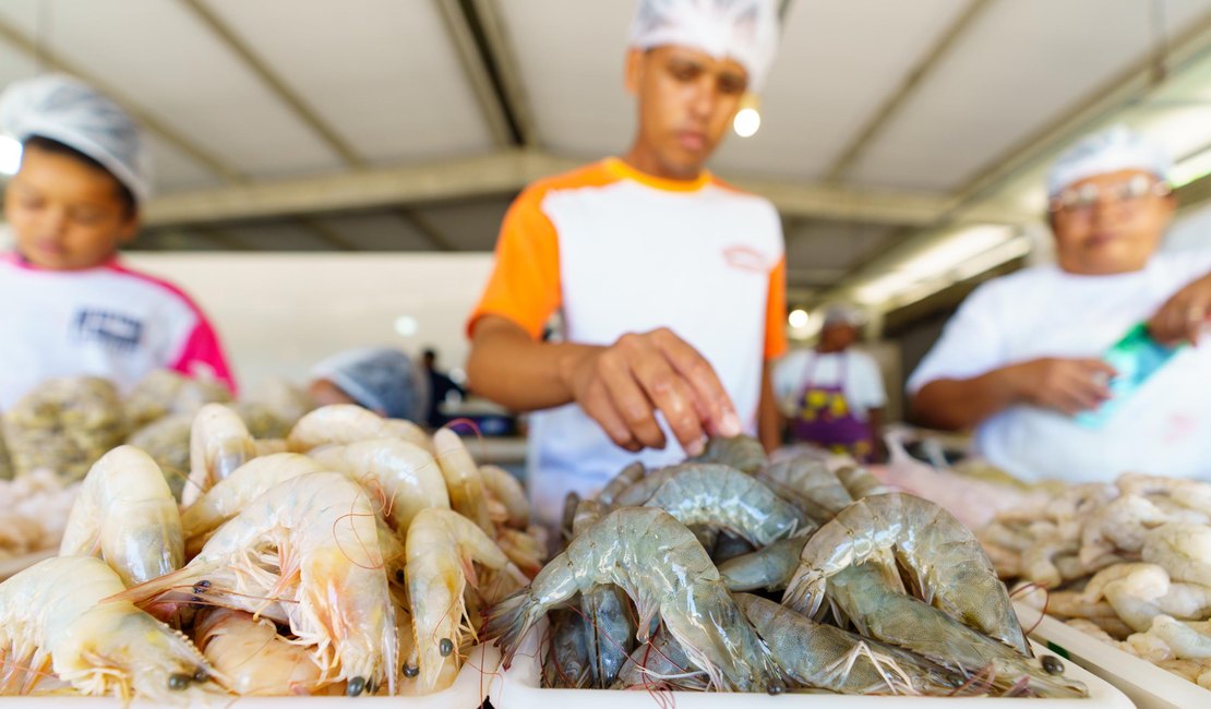 Fapeal e Ministério da Pesca lançam edital para o ensino médio