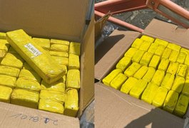 Apreensão de maconha em Alagoas chama atenção por referência bíblica em embalagens