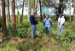 Corpo de homem é encontrado com as mãos amputadas em plantação de eucalipto, no Agreste