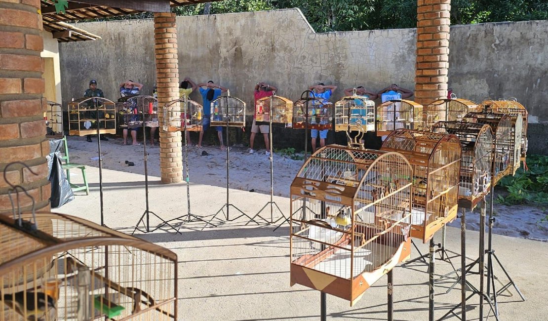 PM-AL reduz em 47% as ocorrências de cativeiro de animais silvestres em 2025