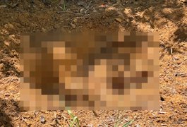 Corpo em estado avançado de decomposição é encontrado em cova rasa em São Miguel dos Milagres