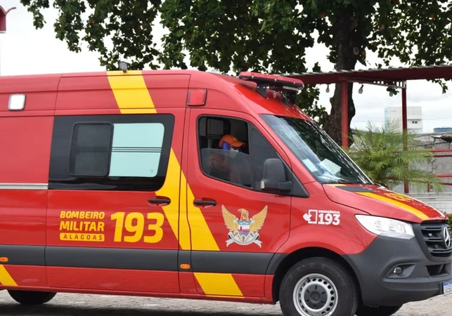 Caminhão de coleta de lixo derrama chorume na AL-220 e bombeiros são acionados