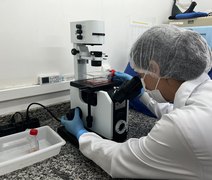 Pesquisa financiada pela Fapeal desvenda a evolução genética do vírus chikungunya em Alagoas