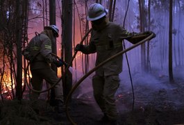 Incêndio em Portugal dura mais de 24 horas; mais de 60 morreram