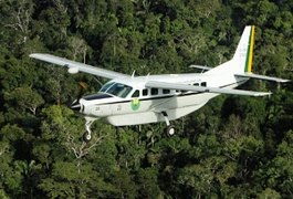 Madeireiras poderão explorar  Floresta Amazônica
