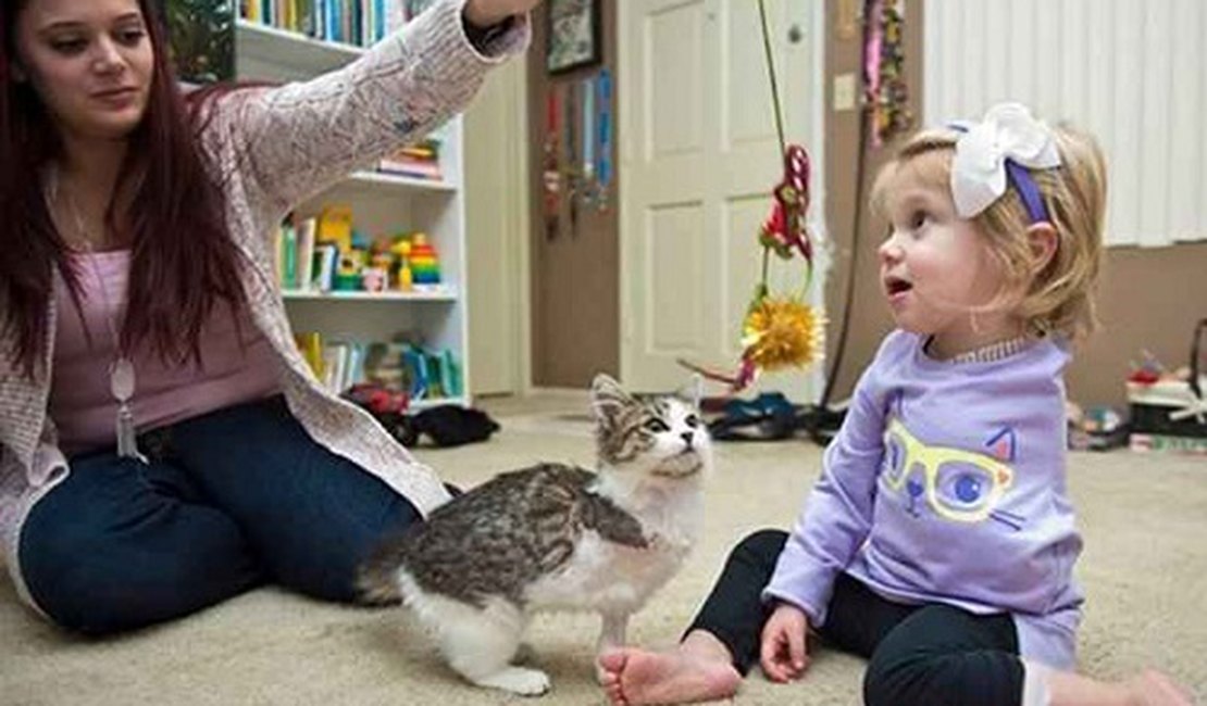 Menina de 2 anos que perdeu um braço ganha de presente dos pais gata com três patas