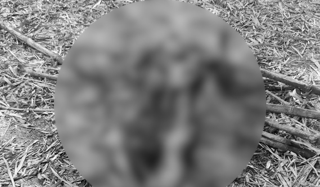 Corpo com cabeça decapitada e colocada entre as pernas é encontrado em canavial
