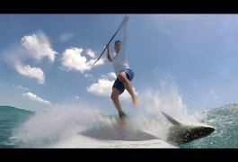Vídeo mostra momento em que tubarão derruba surfista na Flórida