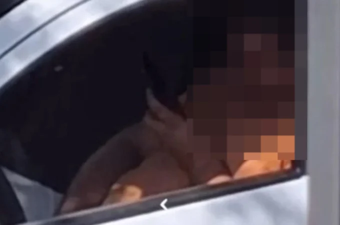Defesa de homem filmado em suposto ato obsceno em Penedo diz que ele tem escabiose e estava apenas se coçando