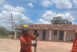 Populares encontram cobra de 2,5 metros em Olho D'Água das Flores