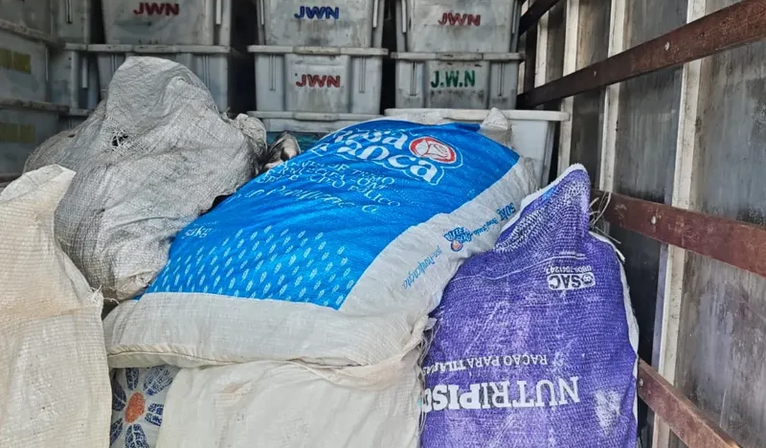 PRF apreende 900 kg de pescado contaminado por óleo diesel no Sertão de Alagoas