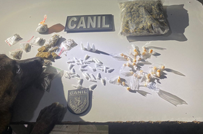 Cão farejador do canil do 3° BPM encontra maconha, cocaína e crack em casa abandonada, em Arapiraca