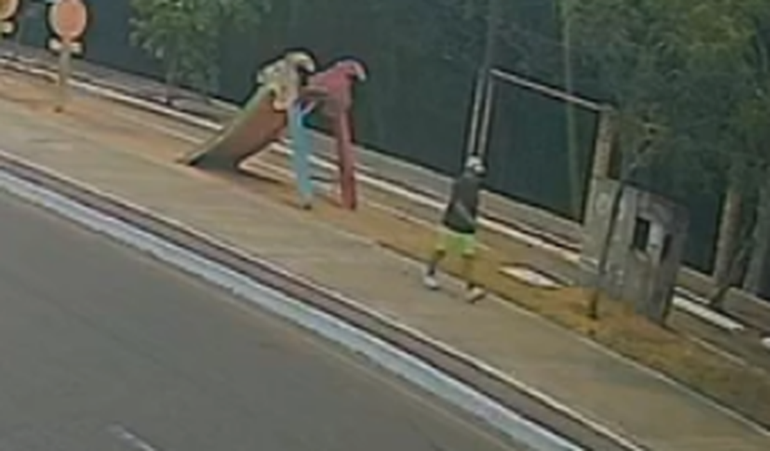 Novos vídeos mostram suspeito andando pelo Bosque das Arapiracas momentos antes do crime contra Cícera Laura