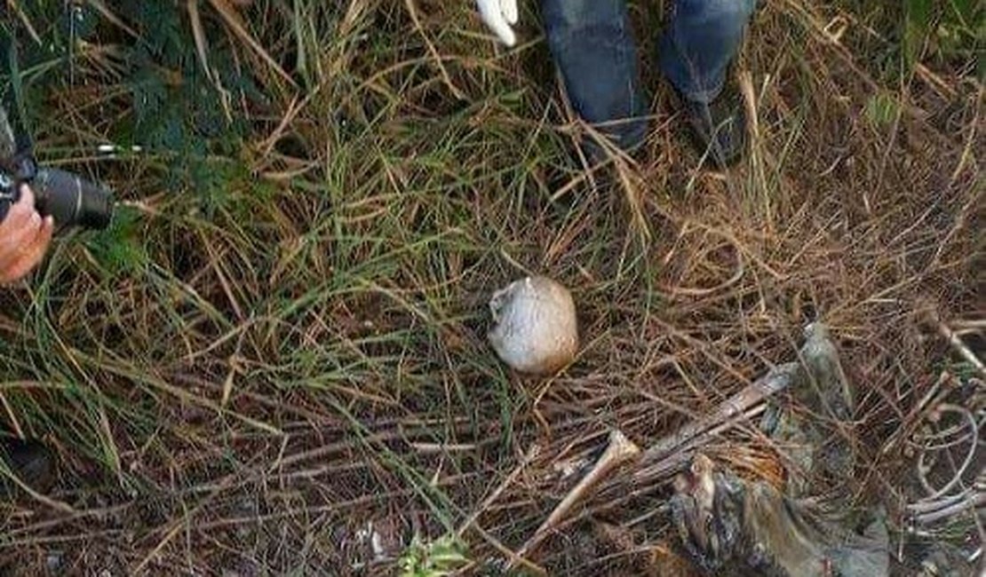 Esqueleto humano é localizado ao lado de residencial, em Arapiraca