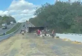 Carreta tomba em rodovia próxima a Porto Real do Colégio e carga de milho se espalha pela pista