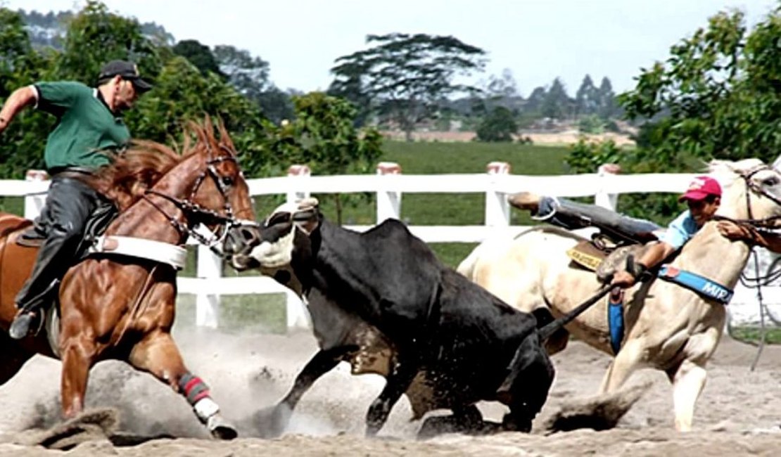 Estado sanciona lei que torna vaquejada patrimônio cultural de Alagoas
