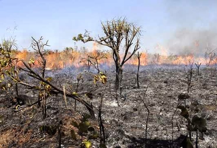 Acordo que limita o aumento da temperatura global entra em vigor hoje