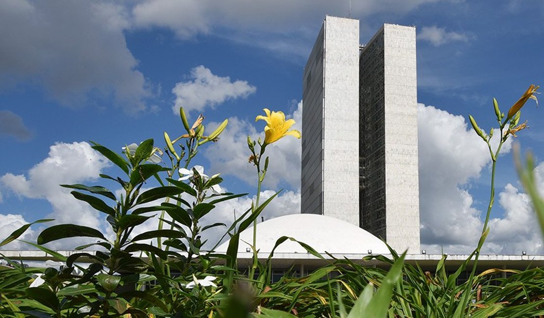 Número de candidatos ao Senado é o maior já registrado em eleições