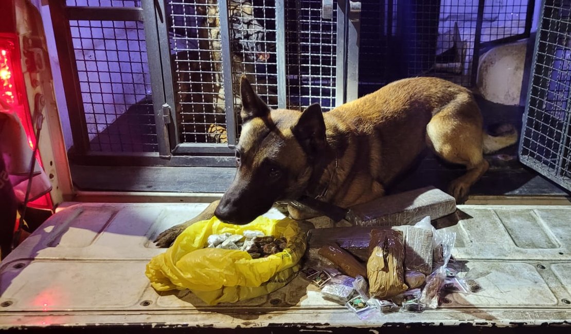 Operação do Canil do 3° Batalhão no Conjunto Valentim apreende mais de 2kg de drogas