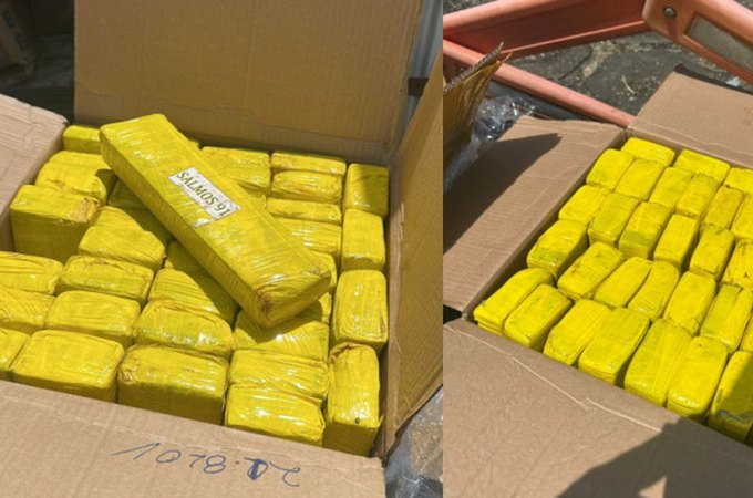 Apreensão de maconha em Alagoas chama atenção por referência bíblica em embalagens