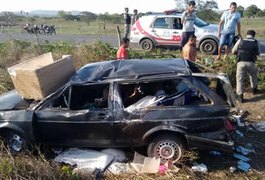 Animal na pista causa capotamento na AL-487 em Girau do Ponciano