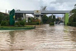 Vídeo. Fortes chuvas alagam ruas e deixam moradores ilhados em Arapiraca