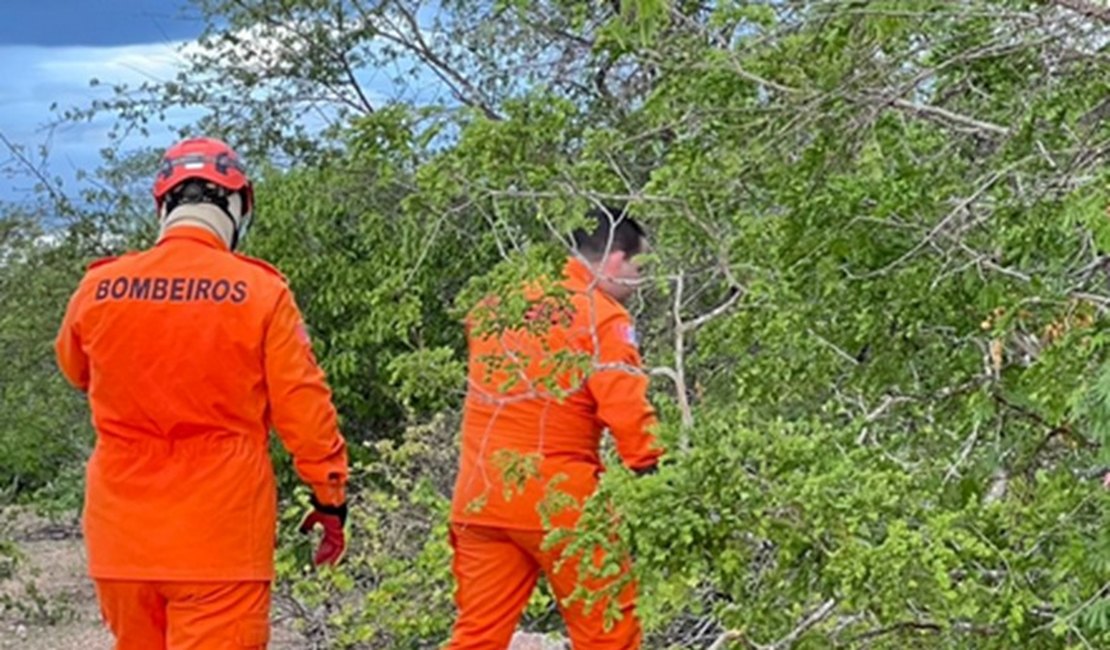 Bombeiros procuram pessoa desaparecida em mata fechada em Delmiro Gouveia