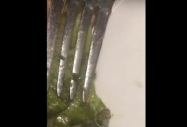 Cliente acha bicho vivo e se movendo em salada em restaurante de Maceió